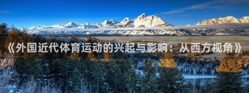 嗨王体育官网入口下载
