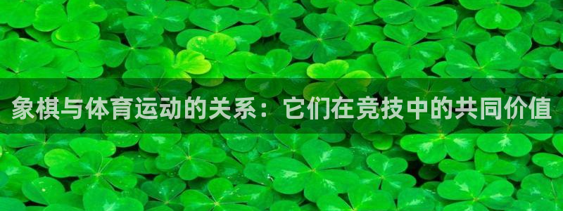 嗨王体育官方app下载：象棋与体育运动的关系：它们在竞技中的共同价值