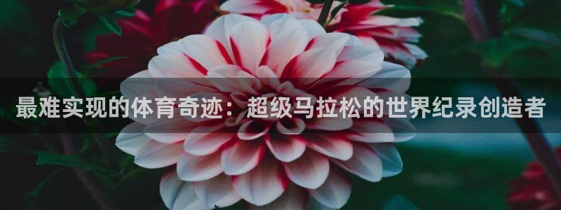关键词