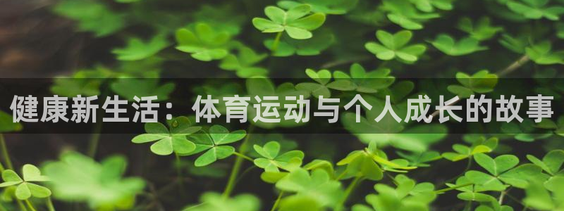 嗨王体育闪退