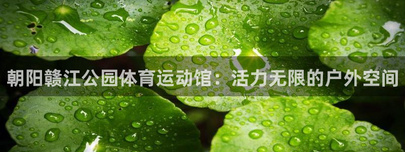 嗨王体育下载链接：朝阳赣江公园体育运动馆：活力无限的户外空间