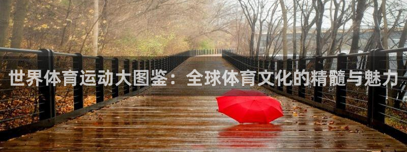 嗨王体育nba直播下载：世界体育运动大图鉴：全球体育文化的精髓与魅力