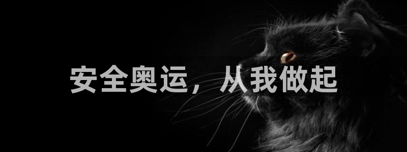 嗨王体育如何下载：安全奥运，从我做起