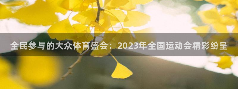嗨王体育手机：全民参与的大众体育盛会：2023年全国运动会精彩纷呈