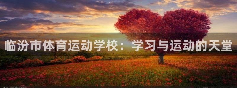 嗨王体育app在苹果怎么下载不了：临汾市体育运动学校：学习与运动的天堂