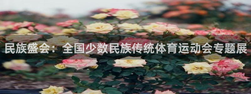 嗨王体育官方入口网站：民族盛会：全国少数民族传统体育运动会专题展