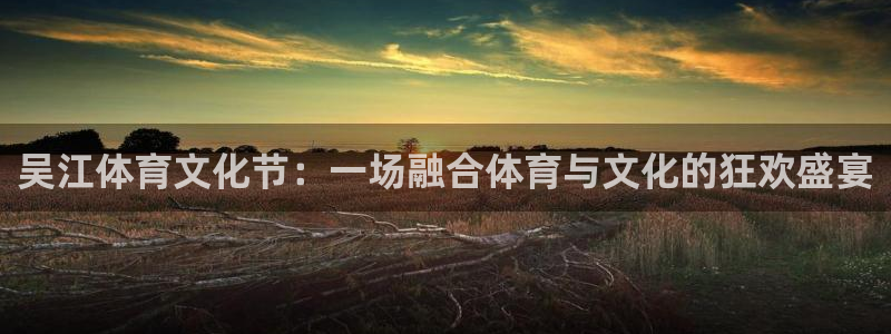 嗨王体育ios：吴江体育文化节：一场融合体育与文化的狂欢盛宴