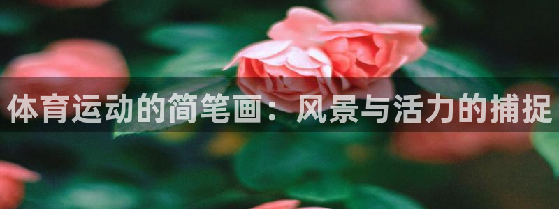 嗨王体育官方入口网站：体育运动的简笔画：风景与活力的捕捉